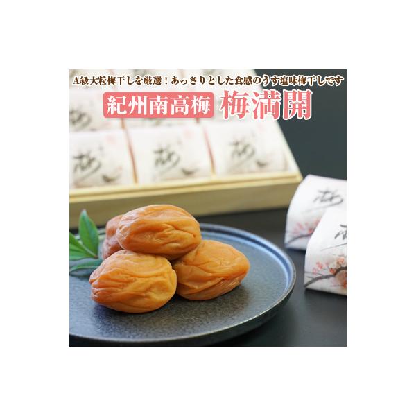 【和歌山県/紀州南高梅】紀州南高梅　梅満開15粒入り(塩分約6%)