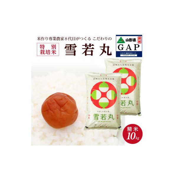 【令和8年産 新米予約】[精米]特別栽培米 雪若丸　10kg(5kg×2袋)「農家直送」 KA