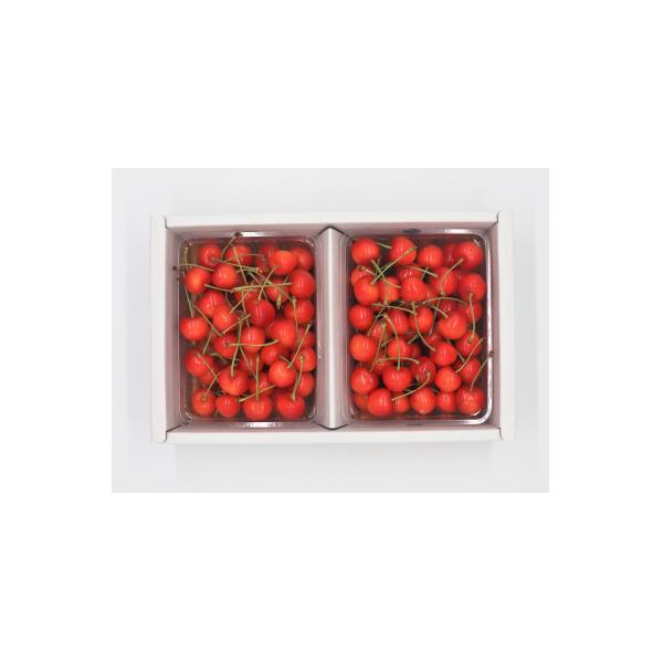 ■お礼品詳細　・配送方法：クール便(冷蔵)　・提供元：(一社）村山市観光物産協会■お申し込み・配送・その他　・発送時期：2026-06-01〜2026-06-30　※生育状況により前後する場合があります(お届け時間帯指定可)　・申込受付期間...