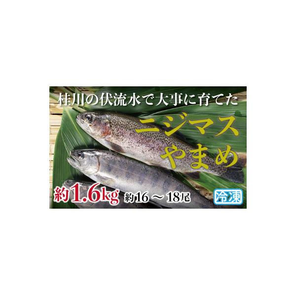 山梨県産　桂川の冷凍やまめ・ニジマスセット　計:約1.6kg(約16～18尾)