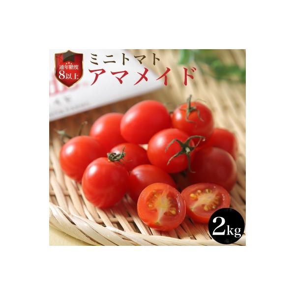 通年糖度8以上のミニトマト「アマメイド」2kg