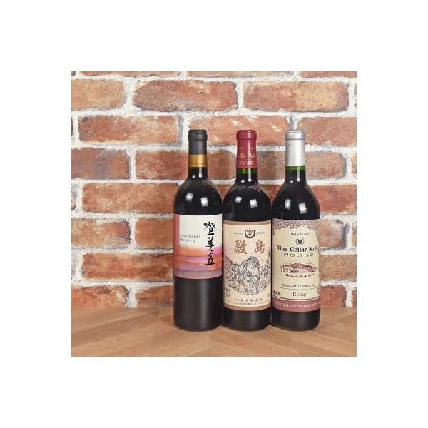 甲斐市産　赤ワイン飲み比べ　3本セット(AD-34)