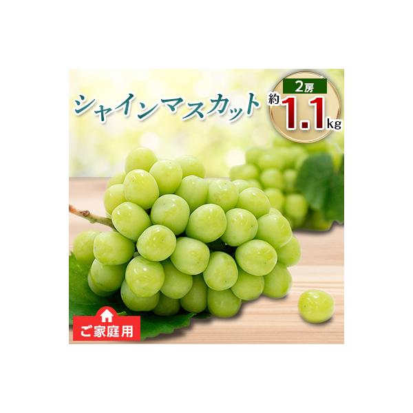 ふるさと納税 高松市 【先行受付2023年】ご家庭用シャインマスカット2房 約1.1kg :1102178:さとふる - 通販 - Yahoo!ショッピング ふるさと納税 高松市 【先行受付2023年】ご家庭用シャインマスカット2房 約1.1kg :1102178:さとふる - 通販 - Yahoo!ショッピング