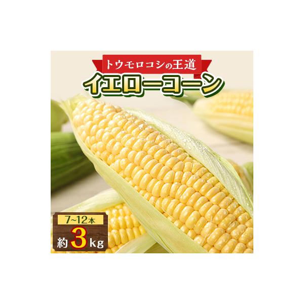 ■お礼品詳細　・配送方法：クール便(冷蔵)　・提供元：（株）五色青果（高松市）■お申し込み・配送・その他　・発送時期：2026-06-11〜2026-07-18(お届け時間帯指定可)　・申込受付期間：〜2026-06-21　・配達外のエリア...