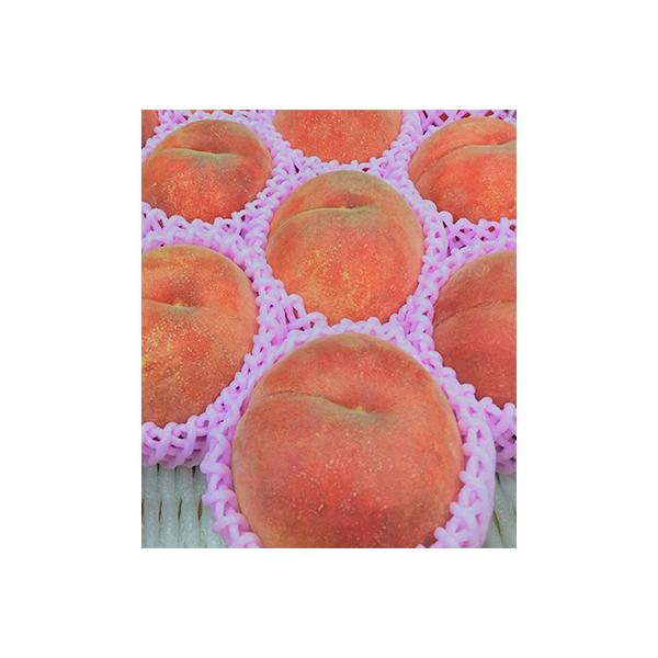 村山市産　桃「川中島」約3kg