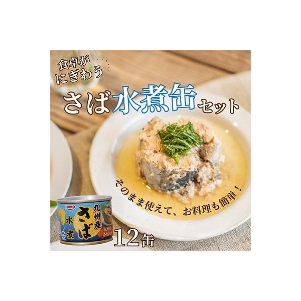 さば水煮缶セット(12缶)