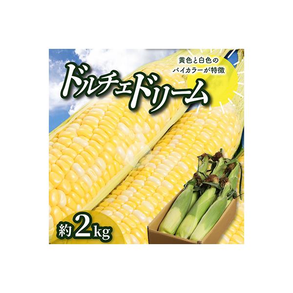 ■お礼品詳細　・配送方法：クール便(冷蔵)　・提供元：（株）五色青果（高松市）■お申し込み・配送・その他　・発送時期：2026-06-11〜2026-07-18(お届け時間帯指定可)　・申込受付期間：〜2026-06-21　・配達外のエリア...