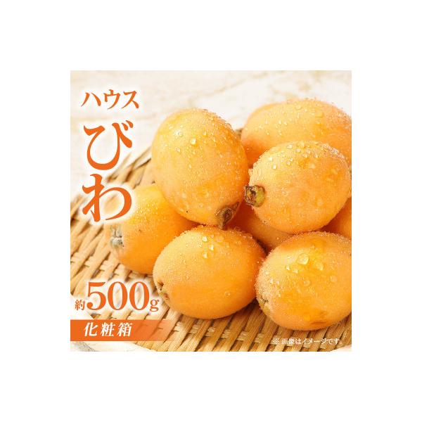 ■お礼品詳細　・配送方法：クール便(冷蔵)　・提供元：（株）五色青果（高松市）■お申し込み・配送・その他　・発送時期：2026-04-20〜2026-06-10(お届け時間帯指定可)　・申込受付期間：2025-06-16〜2026-05-1...