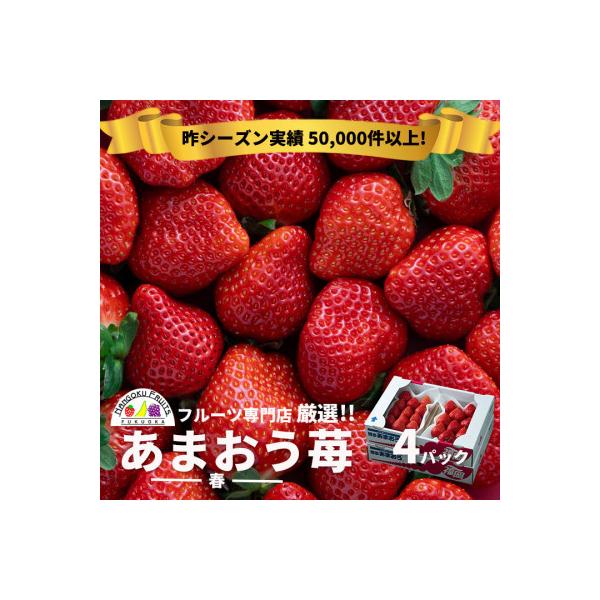 ふるさと納税 太宰府市 【先行受付】<2025年1月以降順次発送>フルーツ専門店が選んだ「あまおう苺」春4パック(太宰府市)