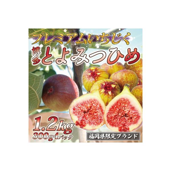 『2026年8月より順次発送』とよみつひめ　4パック(約300g×4パック)[H2223]