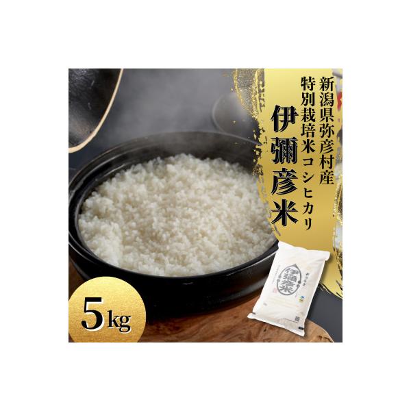 令和7年産 特別栽培米コシヒカリ「伊彌彦米」5kg×1袋 新潟県産 精米 弥彦村産
