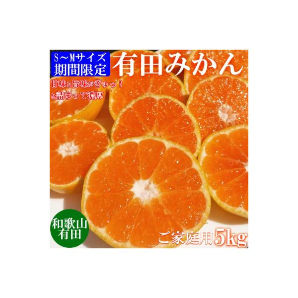 先行受付【ご家庭用】和歌山有田みかん5kg(S、Mサイズ)【美浜町】