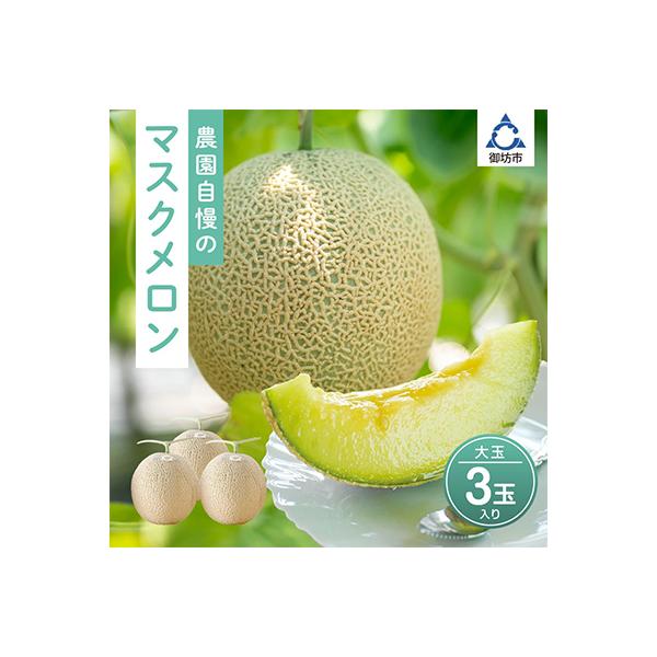 農園自慢の『マスクメロン』大玉×3玉
