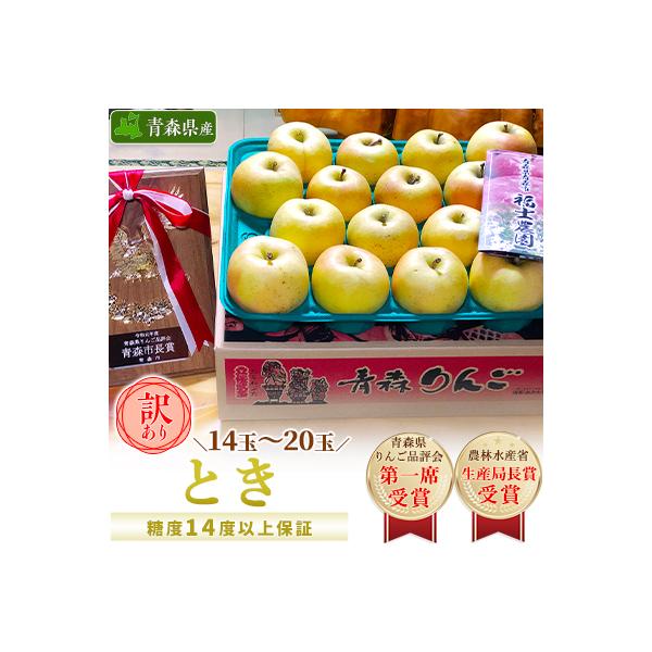 「とき」約5kg・糖度14度以上保証・訳あり家庭用りんご 青森市長賞受賞