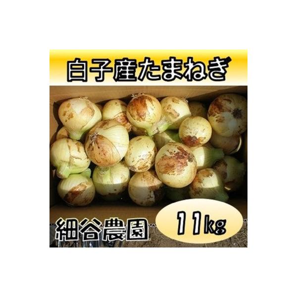 ■お礼品詳細　・提供元：白子町　細谷農園■お申し込み・配送・その他　・発送時期：2026-05-12〜2026-06-01(お届け時間帯指定可)　・申込受付期間：〜2026-05-15　・配達外のエリア：離島、沖縄県　・寄付証明書の送付時期...