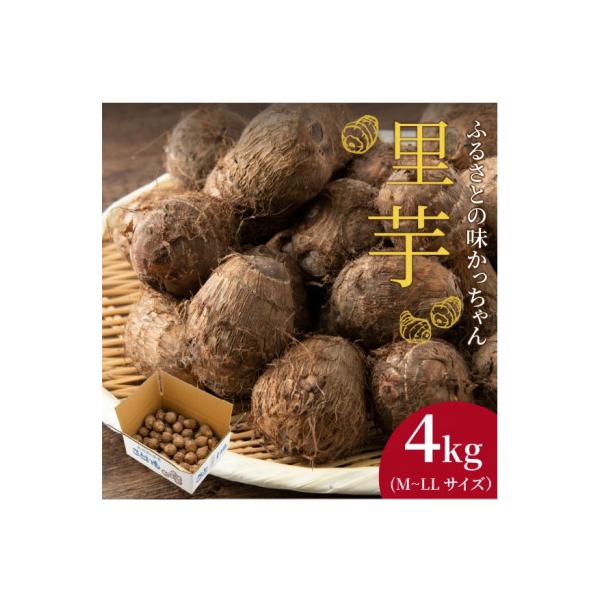 【先行予約】里芋　4kg