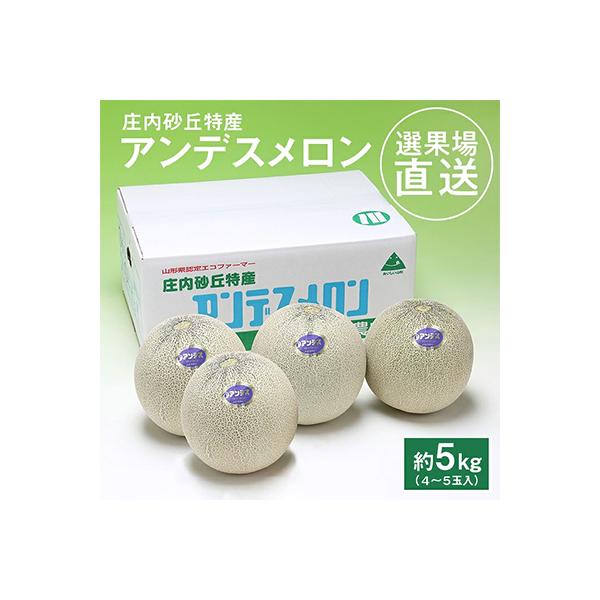 選果場直送!アンデスメロン約5kg(4～5玉入)