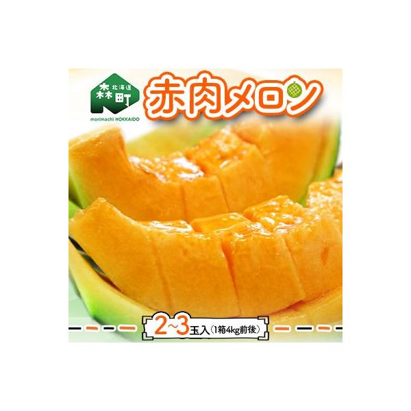 人気色 ふるさと納税 森町 北海道森町産赤肉メロン2〜3玉入り(1箱4kg前後) 北海道産 赤肉 メロン L玉