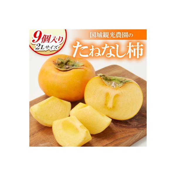 国城観光農園のたねなし柿9個入り(2Lサイズ)