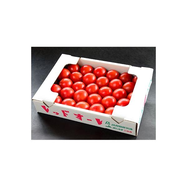 ■お礼品詳細　・提供元：清水農業協同組合■お申し込み・配送・その他　・発送時期：2025-12-01〜2026-03-20　※年末年始は発送までにお時間をいただく場合がございます(お届け時間帯指定可)　・申込受付期間：〜2026-03-08...