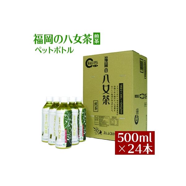 福岡の八女茶　煎茶ペットボトル　500ml×24本