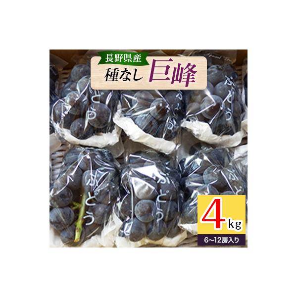 長野県長野市産種なし巨峰4kg(6～12房入り)