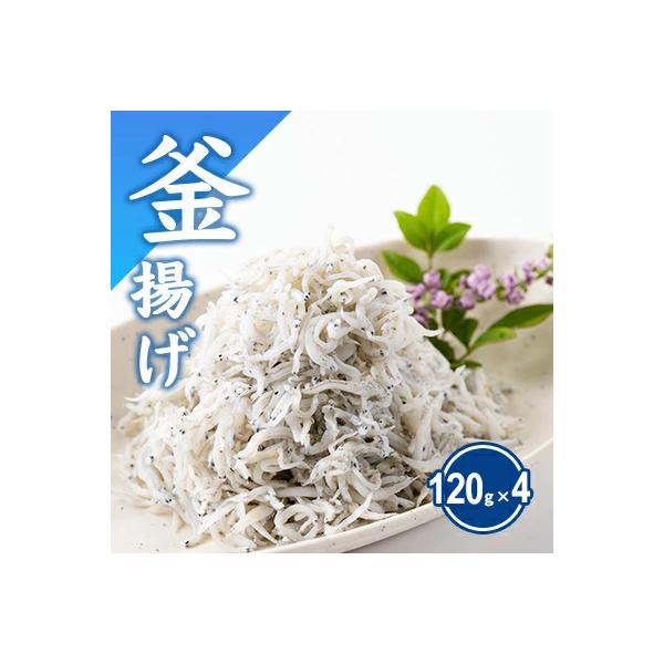 湘南江の島　しらす問屋とびっちょ　釜揚げしらすセット(120g×4個)