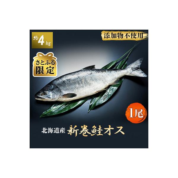 ふるさと納税 標津町 北海道産新巻鮭オス(約4kg) 1尾 :1112939:さとふる - 通販 - Yahoo!ショッピング ふるさと納税 標津町 北海道産新巻鮭オス(約4kg) 1尾 :1112939:さとふる - 通販 - Yahoo!ショッピング