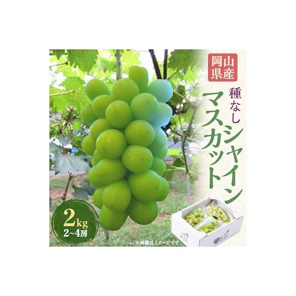 岡山県産シャインマスカット2kg(2～4房)