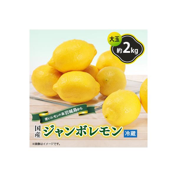 青いレモンの島　貯蔵蔵出しジャンボレモン2kg(冷蔵)
