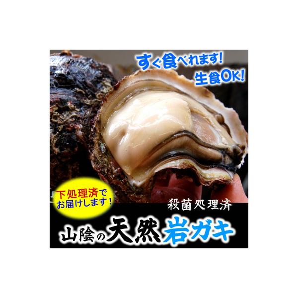 山陰の天然岩ガキ詰合せ(大きさにより5～7個入)　牡蠣は殺菌済　下処理済　生食OK　バーベキュー