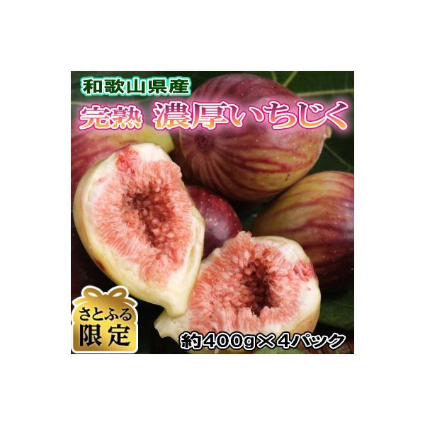 【さとふる限定】【農園直送】和歌山紀の川産の完熟濃厚いちじく400g×4パック入り