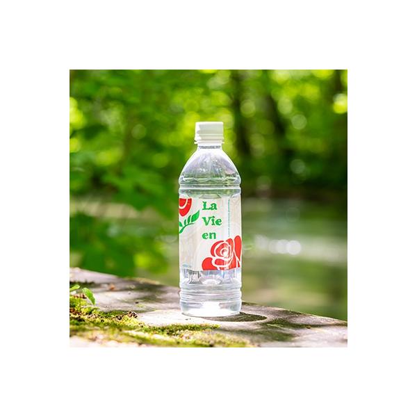 天然シリカ水ラビアン　500ml×24本(1箱)