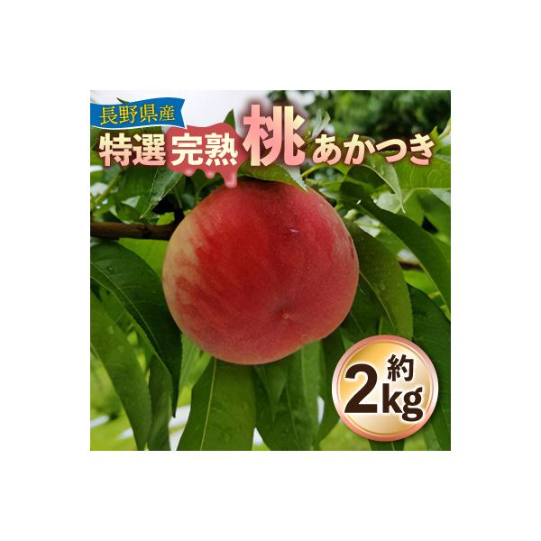 〈収穫当日出荷〉長野県飯田産　特選完熟桃 「あかつき」約2kg