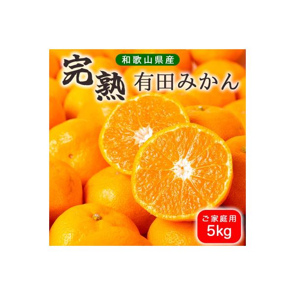 【先行受付】有田みかん 5kg ご家庭用 訳あり【2026年10月下旬〜発送予定】