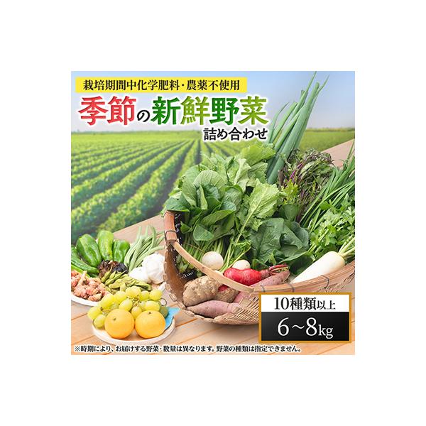 【栽培期間中化学肥料・農薬不使用なので安心・安全】　季節の新鮮野菜の詰め合わせ