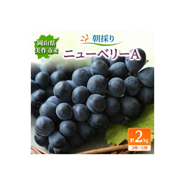 朝採りニューベリーA　2kg(3房～5房)
