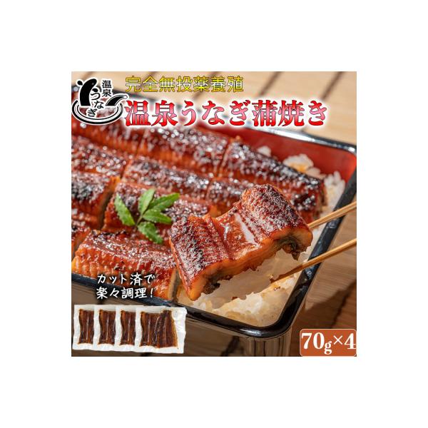 温泉うなぎ蒲焼カット70g×4