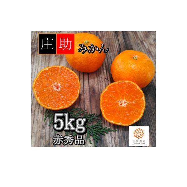 <先行受付2026年10月末より発送>有田・庄助みかん5kg(赤秀品)