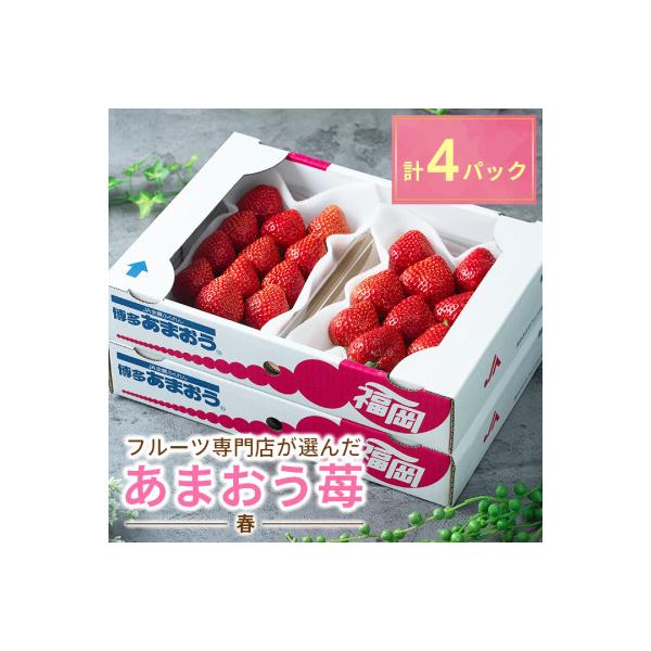 ふるさと納税 篠栗町 さとふる限定!フルーツ専門店が選んだ「あまおう苺」春4パック(篠栗町) :1120829:さとふる - 通販 - Yahoo!ショッピング ふるさと納税 篠栗町 さとふる限定!フルーツ専門店が選んだ「あまおう苺」春4パック(篠栗町) :1120829:さとふる - 通販 - Yahoo!ショッピング