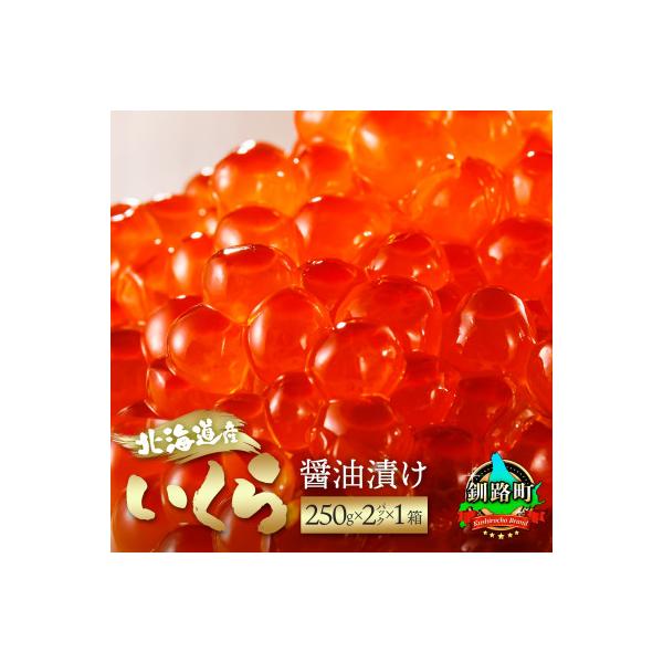 いくら醤油漬け ＜250g×2パック 500g＞×1箱 北海道産の鮭卵