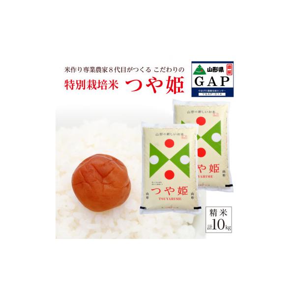 【令和8年産 新米予約】[精米]特別栽培米 つや姫　10kg(5kg×2袋)「農家直送」 KA