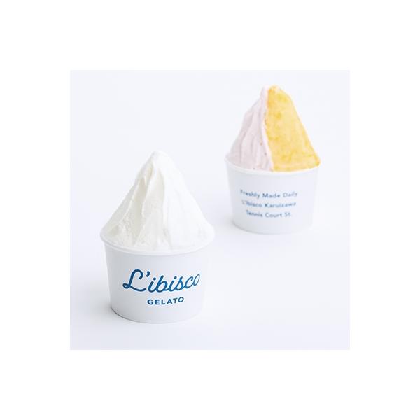 リビスコ軽井沢店　ジェラート　バラエティ6種セット