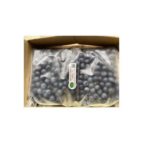 大粒・濃厚!冷凍ブルーベリー1kg