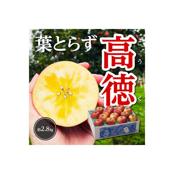 【令和8年11月上旬～発送】今年もお届け。味にこだわる生産者から「葉とらずこうとく」2.8kg