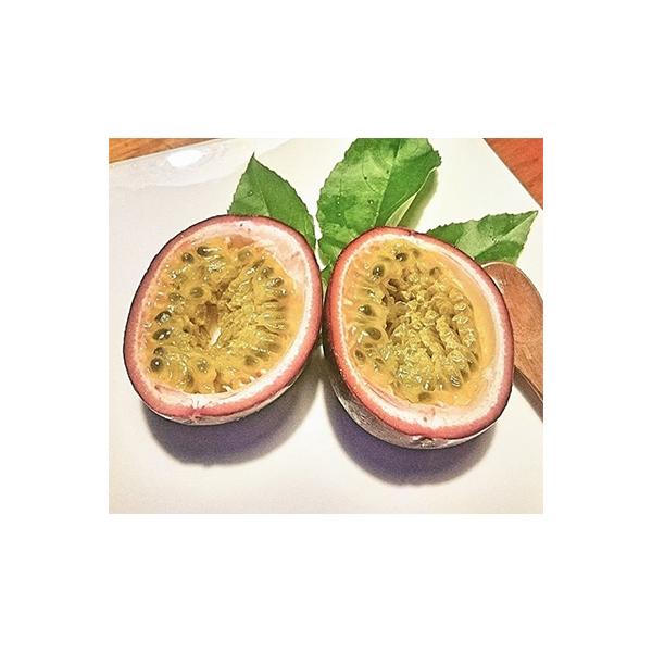 ふるさと納税 奄美市 高糖度 パッションフルーツ 約1 8kg さとふる 通販 Yahoo ショッピング