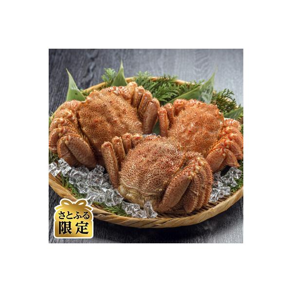 【さとふる限定】浜茹で毛ガニ×3杯[北海道近海産] 産地直送