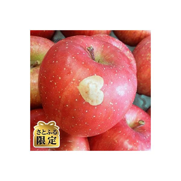 青森りんご　サンふじ　家庭用　約10kg【さとふる限定】
