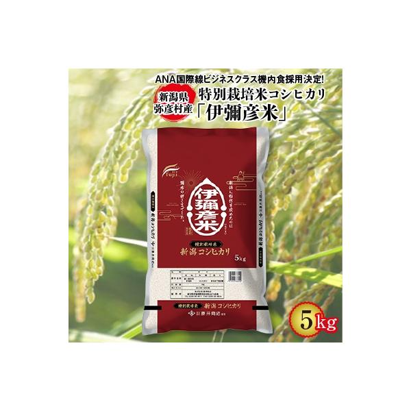 令和7年産特別栽培米コシヒカリ「伊彌彦米」5kg