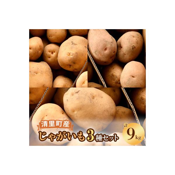 【先行受付】清里町産じゃがいも3種セット【計9kg】